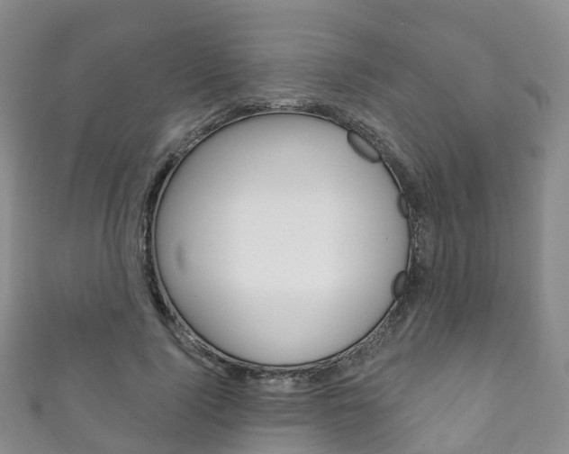 X0000111930740200907271030
