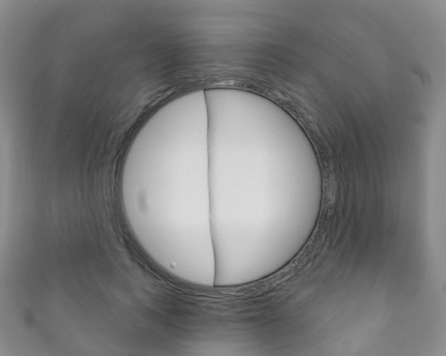 X0000111930743200907271030