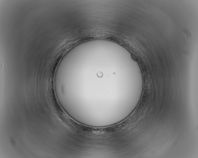 X0000111930744200907271030
