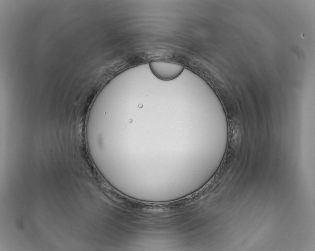 X0000111930745200907271030