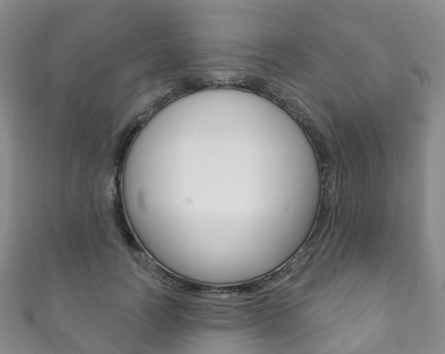 X0000111930746200907271030