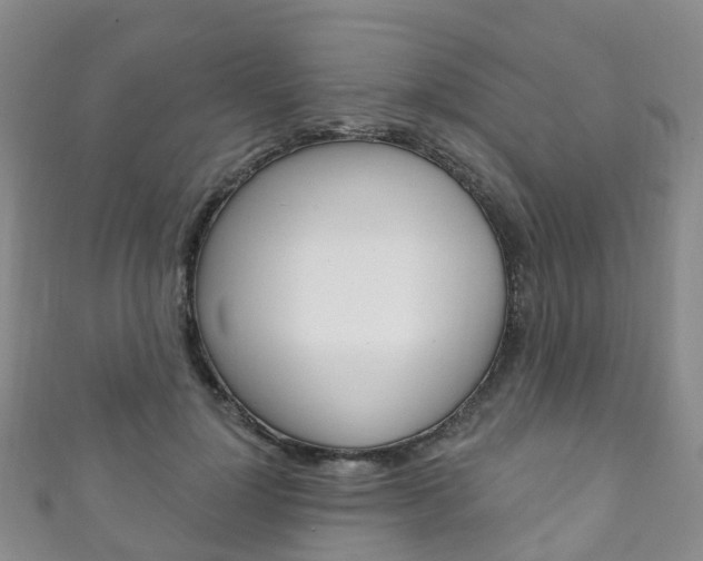 X0000111930748200907271030