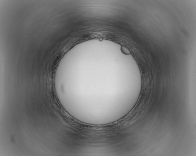 X0000111930749200907271030