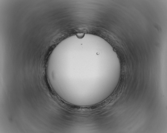 X0000111930751200907271030