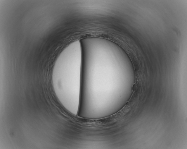 X0000111930752200907271030