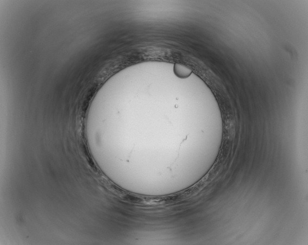 X0000111930753200907271030