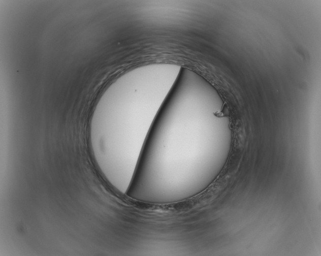 X0000111930756200907271030