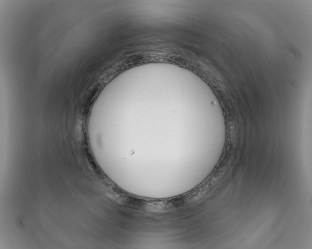 X0000111930757200907271030