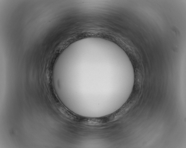 X0000111930758200907271030