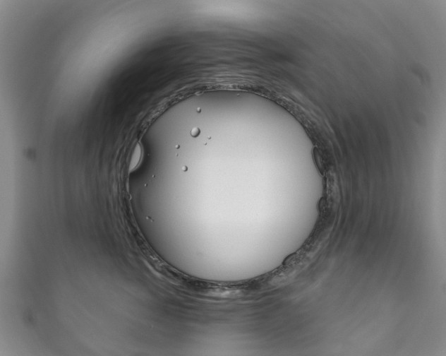 X0000111930760200907271030