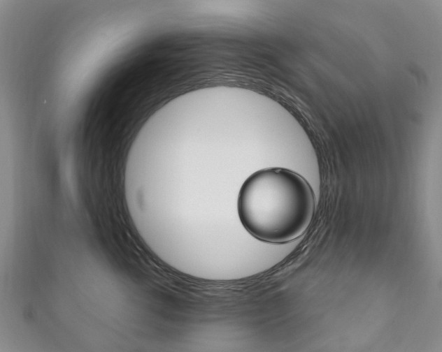 X0000111930762200907271030