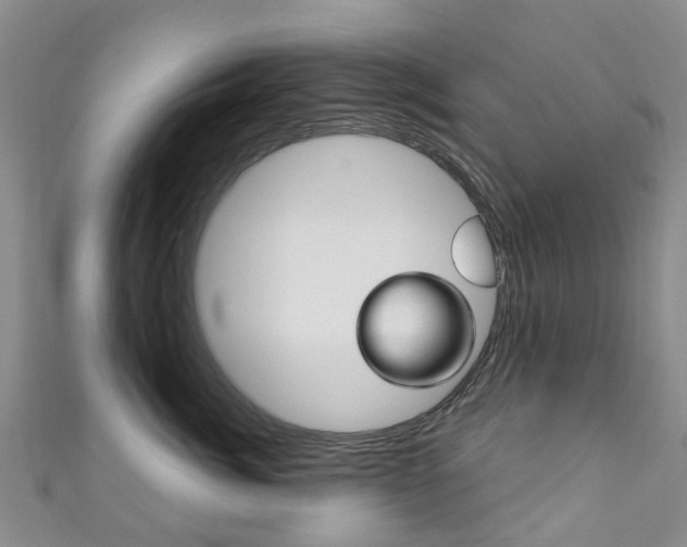 X0000111930764200907271030