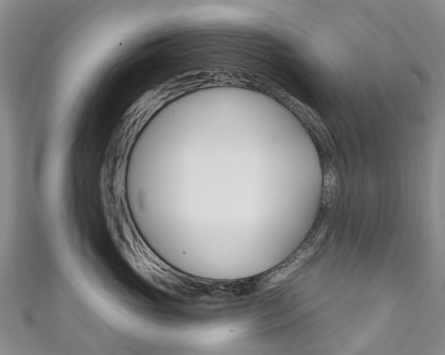 X0000111930765200907271030