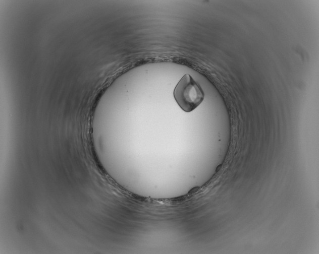 X0000111930768200907271030