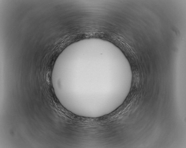 X0000111930770200907271030