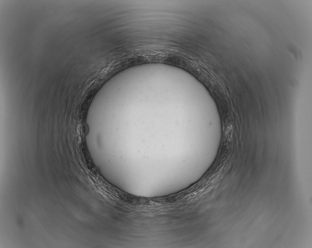 X0000111930772200907271030