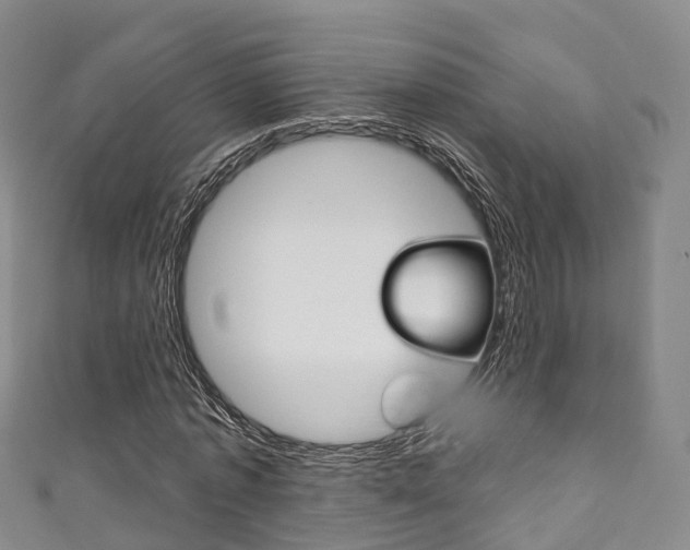 X0000111930773200907271030