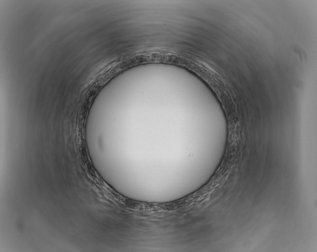 X0000111930774200907271030