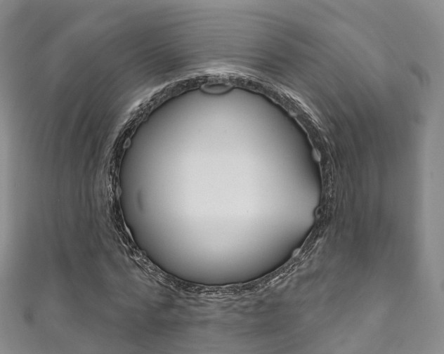 X0000111930776200907271030