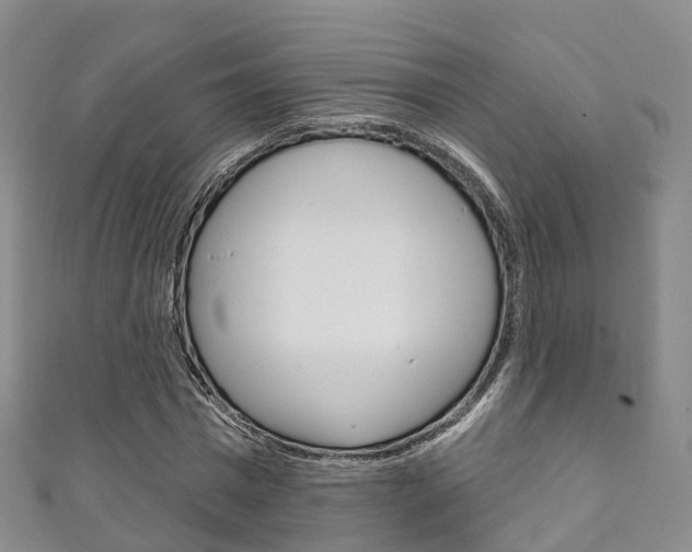 X0000111930777200907271030