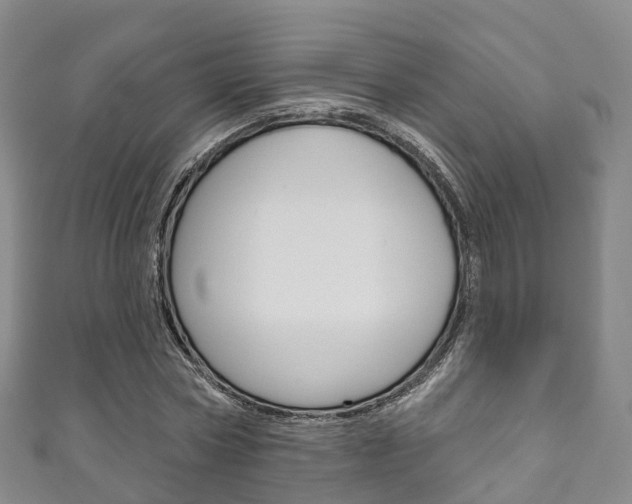 X0000111930778200907271030
