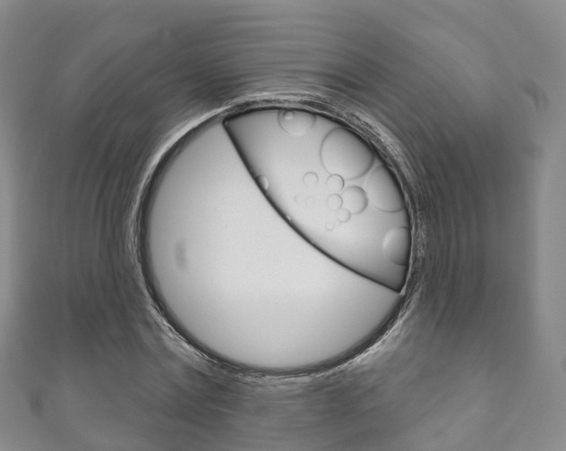 X0000111930779200907271030