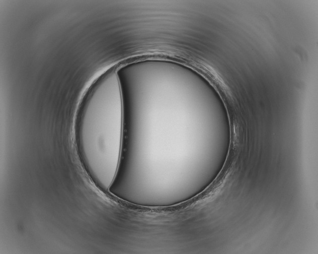 X0000111930780200907271030
