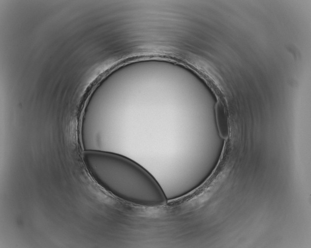 X0000111930781200907271030