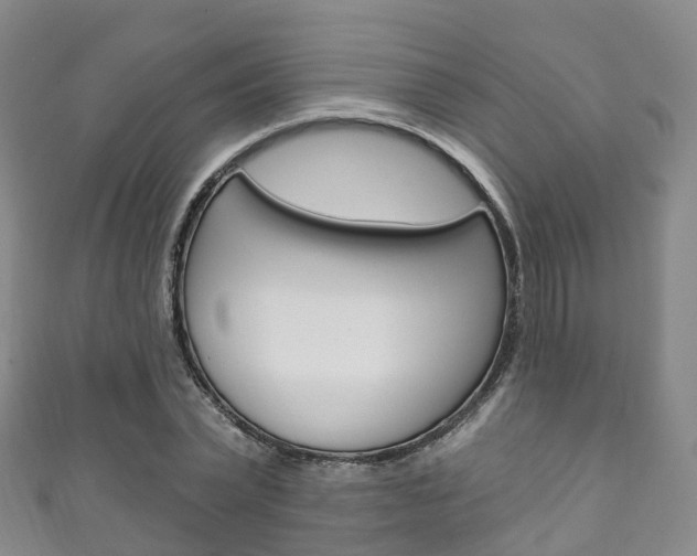 X0000111930783200907271030