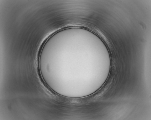 X0000111930787200907271030