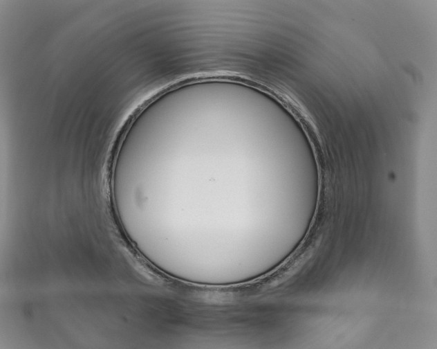 X0000111930789200907271030
