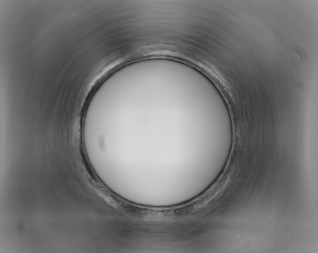 X0000111930790200907271030