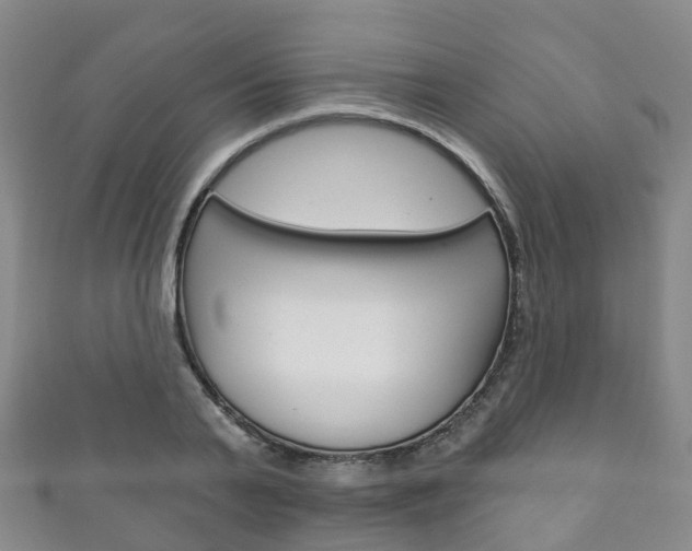 X0000111930791200907271030