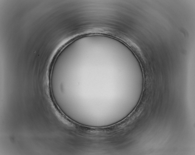 X0000111930792200907271030
