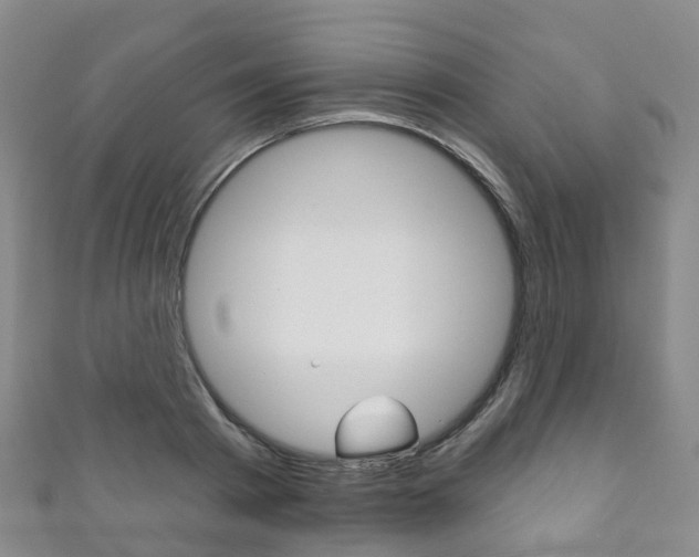 X0000111930793200907271030