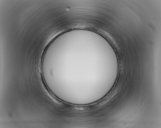 X0000111930794200907271030