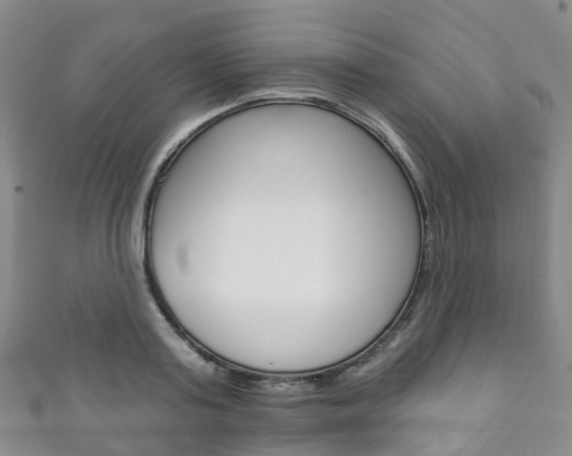 X0000111930795200907271030