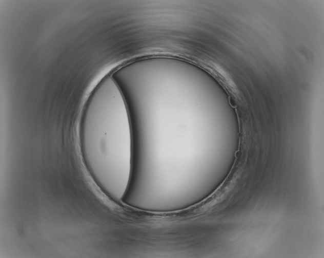X0000111930796200907271029