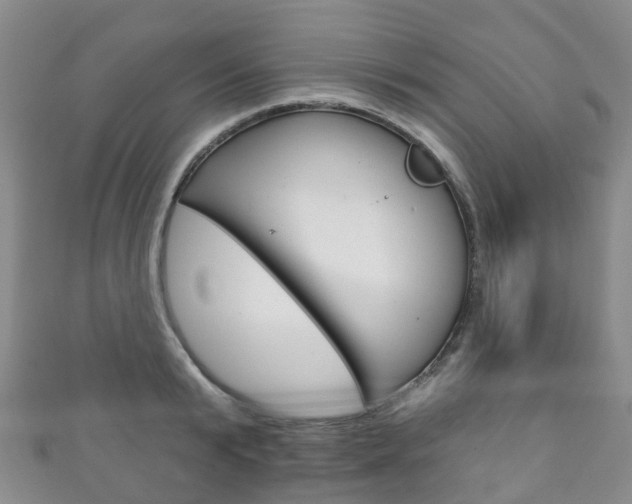 X0000111930799200907271029