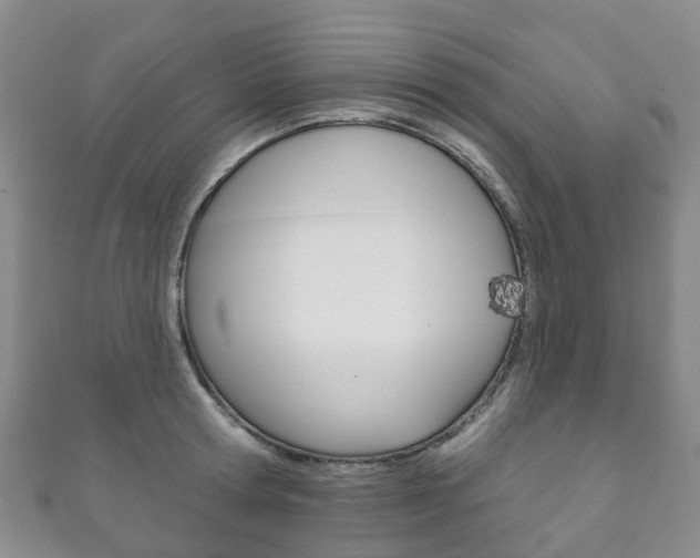 X0000111930802200907271029