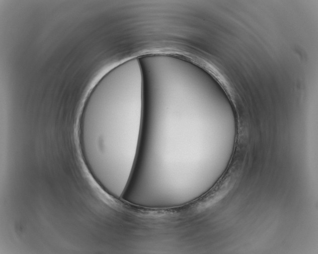 X0000111930803200907271029