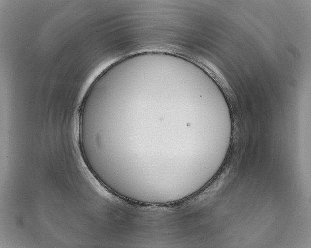 X0000111930804200907271029