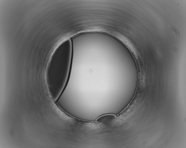 X0000111930805200907271029