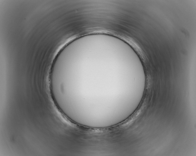 X0000111930806200907271029
