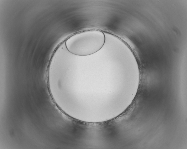 X0000111930807200907271029
