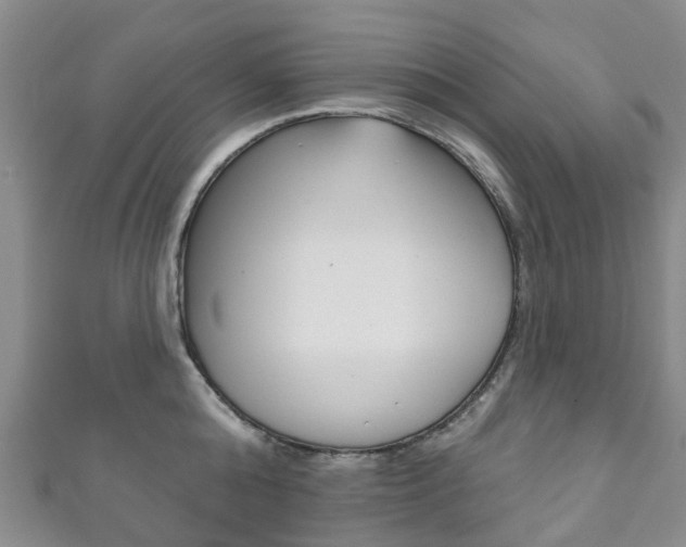 X0000111930808200907271029