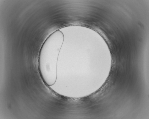 X0000111930810200907271029