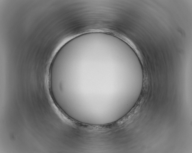 X0000111930811200907271029