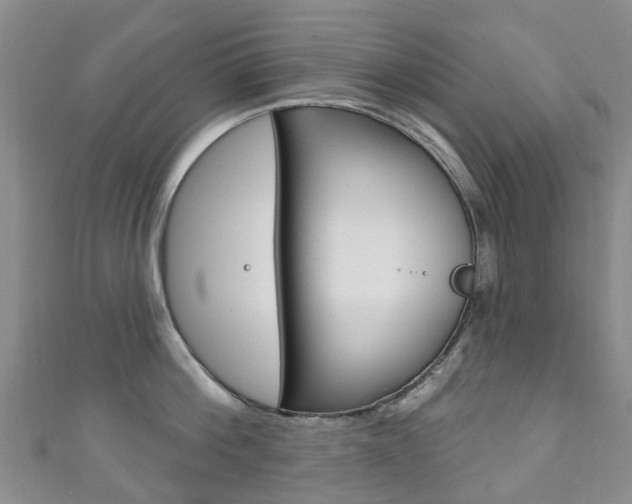 X0000111930812200907271029