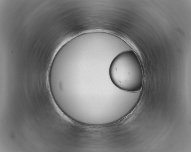 X0000111930813200907271029